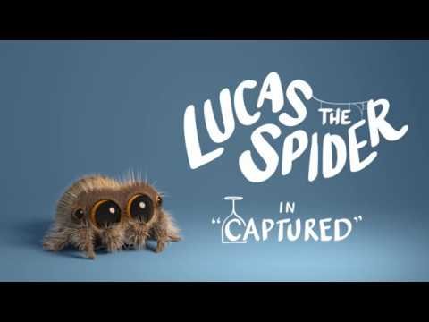Lucas the Spider – Captured