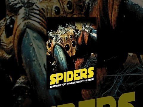 Spiders