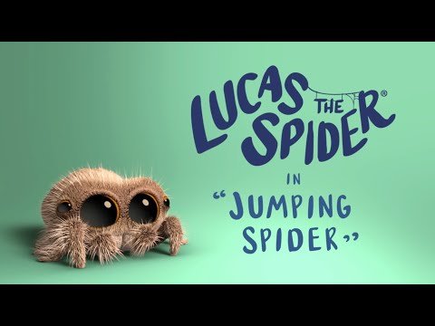 Lucas the Spider – Jumping Spider