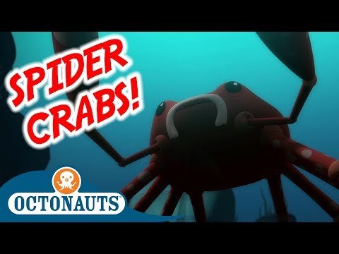 Octonauts – The Spider Crabs | Full Episode | Cartoons for Kids