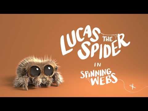 Lucas the Spider – Spinning Webs