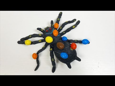 Candy Spider Lost in The Universe
