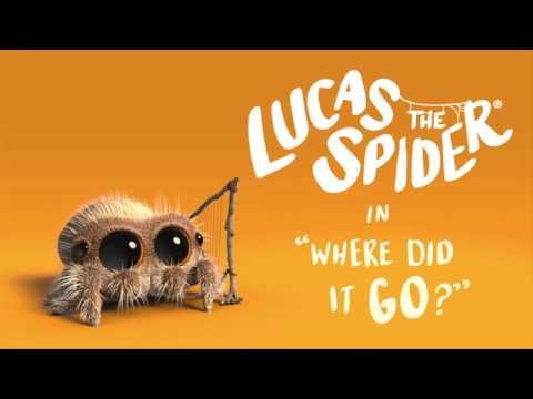 Lucas the Spider – Where Did It Go?
