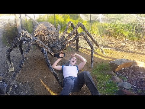 giant spider attacks girl..
