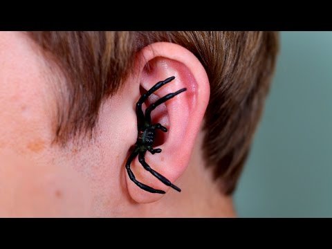 SPIDER IN EAR!
