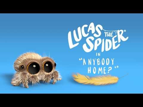 Lucas the Spider – Anybody Home?