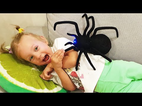 Mila found spiders at home !