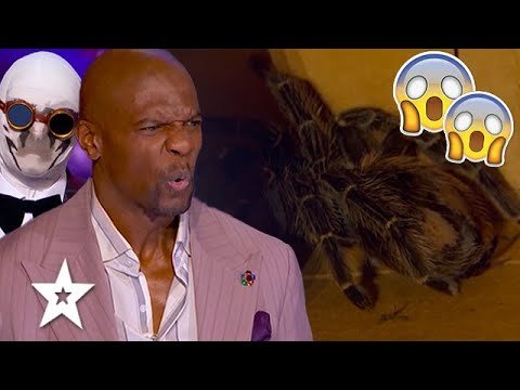 Scary Magician Brings SPIDER Out TERRIFYING Judges on America’s Got Talent 2021 | Got Talent Global