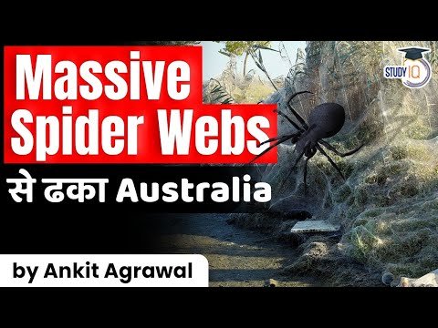 Massive Spider Webs cover Australian grassland after floods – Environment Current Affairs for UPSC