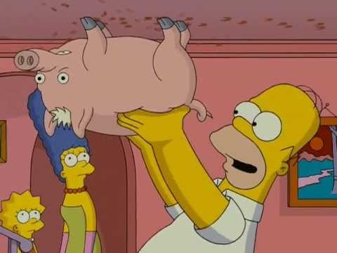 Spider-Pig – The Simpsons