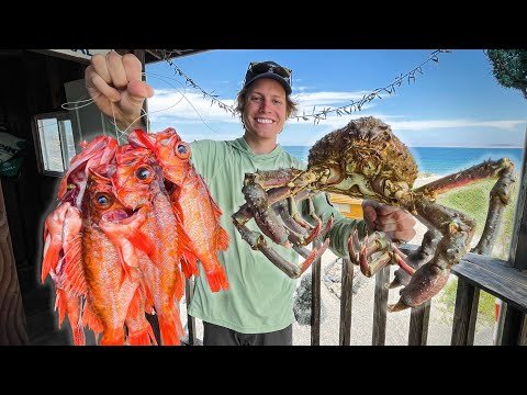 Whole Fried Fish w/ Giant Spider Crab on an Island! – Catch and Cook