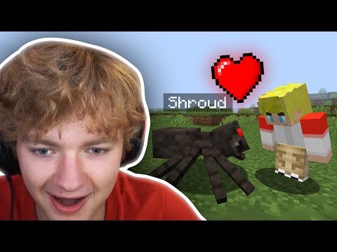 Tommy Found Spider Who BECAME His NEW BEST Pet Friend And Named Him Shroud! DREAM SMP