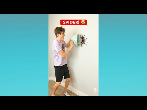 SPIDER! 😂 #shorts