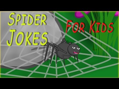 Jokes For Children | Spider Jokes