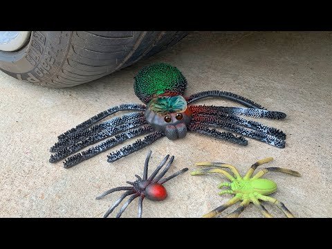 Crushing Crunchy & Soft Things by Car! EXPERIMENT CAR VS SPIDERS TOY