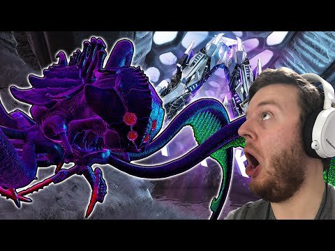 TAMING THE GIANT SPIDER – BLOODSTALKER