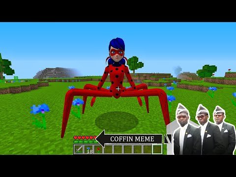 I Found REAL Spider LadyBUG in Minecraft – Coffin Meme