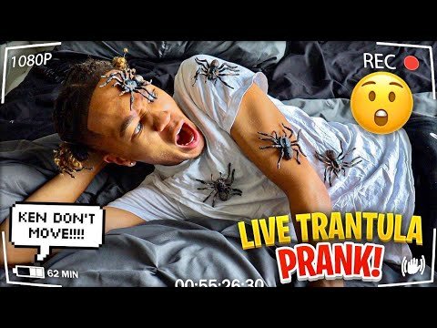 LIVE TARANTULA SPIDER PRANK ON BOYFRIEND!