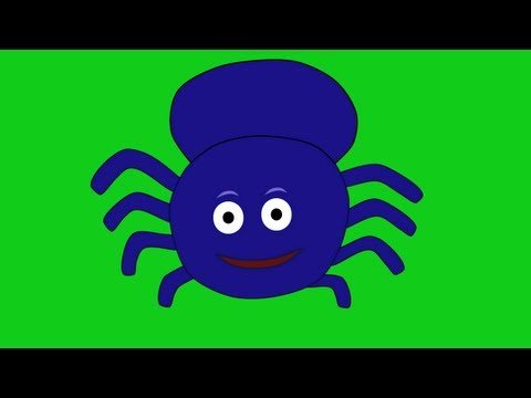 Incy Wincy Spider