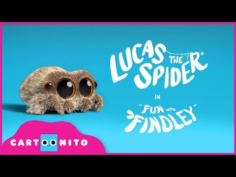 Lucas the Spider – Fun with Findley