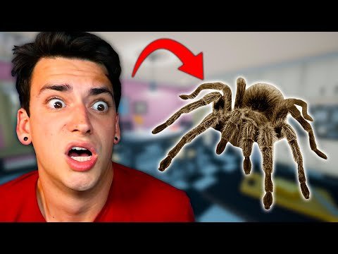 SCARY JUMPING SPIDER ATTACK! (Kill It With Fire)