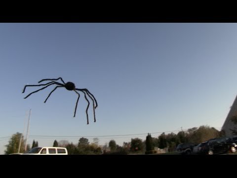FLYING SPIDER PRANK! – Tom Mabe Halloween Pranks