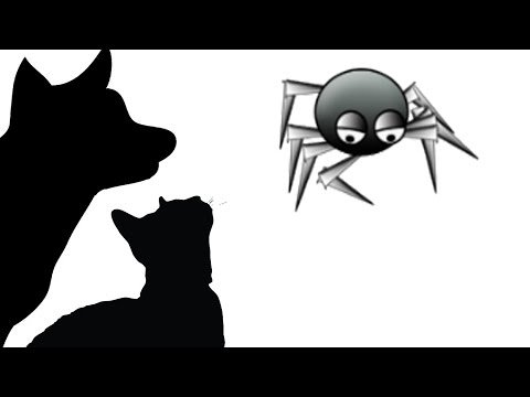 CAT GAMES – DIGITAL SPIDER (FOR CATS ONLY)