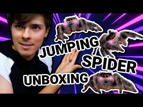 UNBOXING MY NEW PET JUMPING SPIDER!