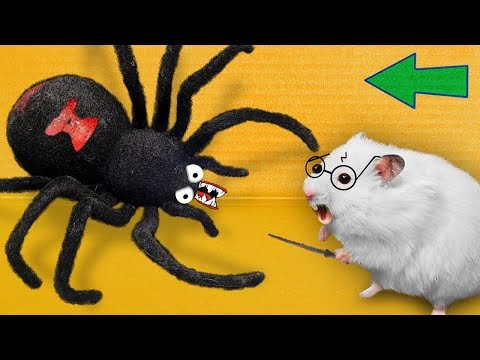 🕷Spider- Hamster Maze with Traps 💀 [OBSTACLE COURSE]