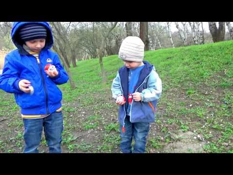 Spider Wild Toys and Children have FUN in Park  – Activities for kids