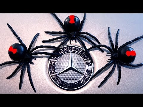 Spider Mind Games Mercedes Benz Spider Infestation Pt1 EDUCATIONAL VIDEO