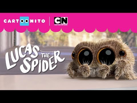 Lucas the Spider – Too Hot to Handle!
