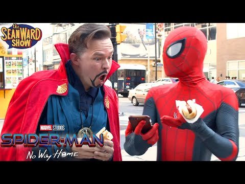 SPIDER-MAN NO WAY HOME Epic Trailer Parody! The Sean Ward Show