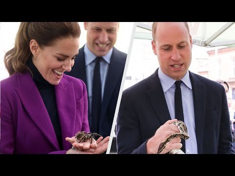 Prince William and Kate Middleton Hold SNAKES and SPIDERS