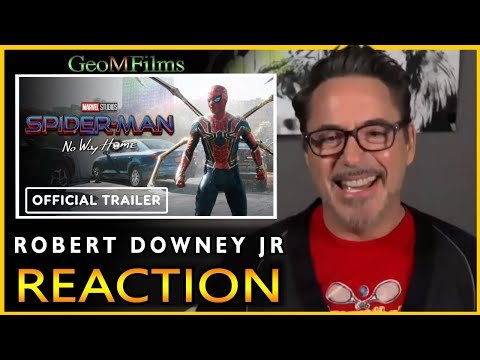 Robert Downey Jr Reaction Spider Man No Way Home Trailer Dub Spider Size