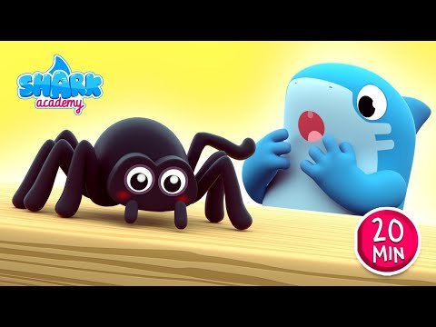 Itsy Bitsy Spider | Baby Shark version – Kids Learn About Spiders | Nursery Rhymes | Shark Academy