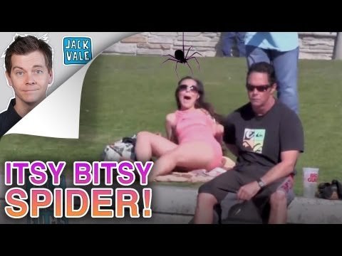 Itsy Bitsy Spider Prank