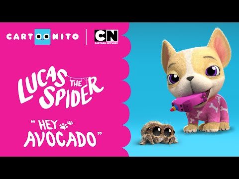 Lucas the Spider – Hey Avocado – Short