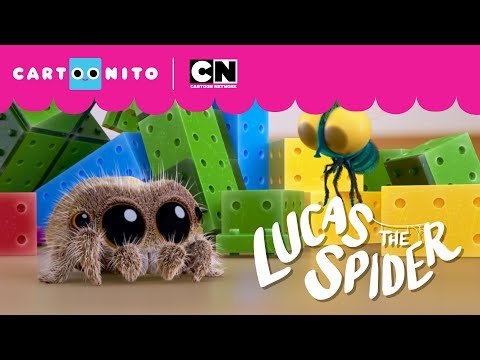 The New Robot | Lucas the Spider | Cartoonito