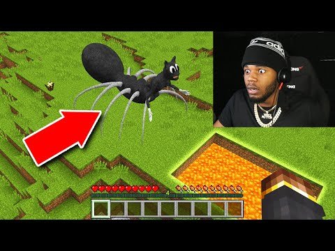 we trapped cartoon cat spider in minecraft… *SCARY*