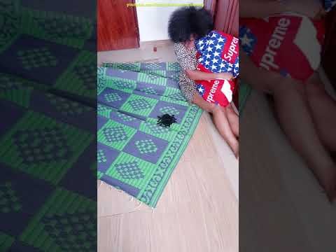 Giant Spider Attack Spider prank on my wife 🤣🤣 #shorts Family the Honest Comedy vs. Tsuriki Show