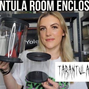 TARANTULA ROOM ENCLOSURES