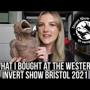 WHAT I BOUGHT AT THE WESTERN INVERT SHOW BRISTOL 2021