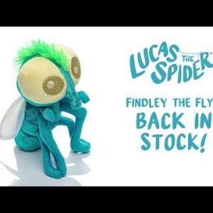 Lucas the Spider – Findley is back!