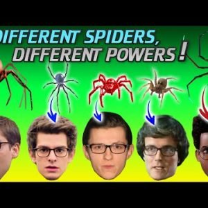 Spider-Man’s Radioactive Spiders, Explained in 8 Minutes!!