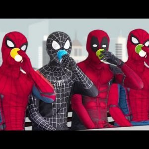 SUPERHEROS SQUAD | Spider-Man, Venom, Deadpool In A House | Every Morning