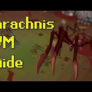OSRS Sarachnis Complete PVM Guide (New Spider Boss)