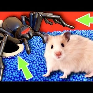 Hamster Escape: Spider Maze – Cute Hamster pets Maze #hamsterescape #mazediytraps