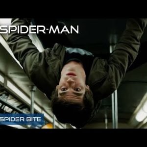 The Spider Bite | The Amazing Spider-Man