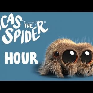 Lucas the Spider +1 Hour